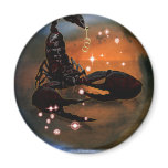 Craft Dungeon Zodiac - Scorpio Magnets