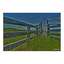 Crag Eyrie Cattle Shoot posters