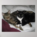 Craiglist 011 print