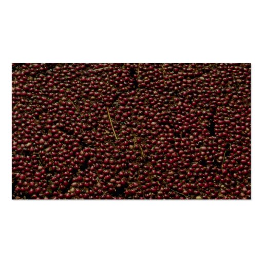 Cranberries at harvest, Plymouth, Massachusettes, Business Card Templates (back side)