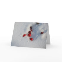 Cranberries in the Snow Greeting Card