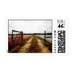 cranberries postage stamps