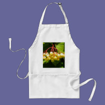 Cranberry aprons