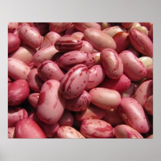 Cranberry Beans
