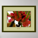 Cranberry Blossoms Base Close up 2 Poster