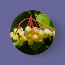 Cranberry buttons