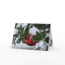 Cranberry Christmas cards