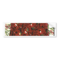 Cranberry Christmas Tree Ornament Bumper Stickers