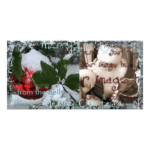 cranberry ice photo card