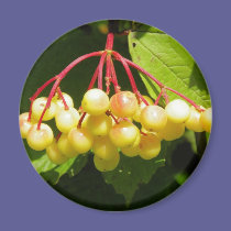 Cranberry magnets