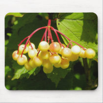 Cranberry mousepads