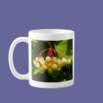 Cranberry mugs