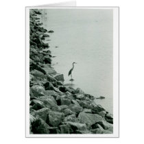 Crane? cards