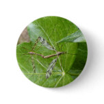 Crane Flies ~ button