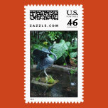 fountain, crane, pond, 
