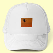 crane hats