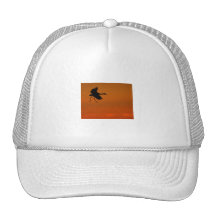 crane mesh hats
