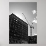 Crane Print