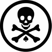 Cráneo y bandera pirata escultura fotográfica