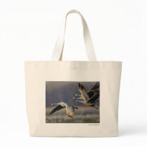 Cranes bags