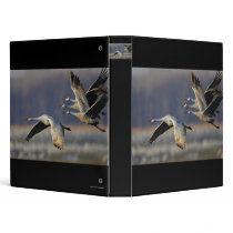 cranes binders