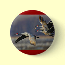 cranes buttons