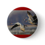 cranes pinback buttons