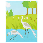 Cranes in pond full color flyer