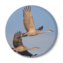 cranes magnets by WorldDesign cranes magnets