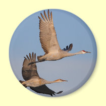 cranes magnets