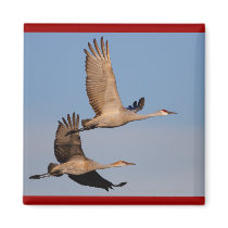 Cranes magnets by WorldDesign Cranes magnets