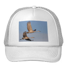 cranes mesh hats