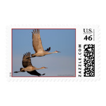 Cranes Stamps