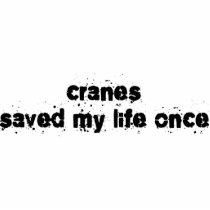 Cranes Saved My Life Once Photo Sculpture