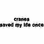 Cranes Saved My Life Once Photo Sculpture