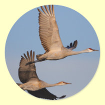 cranes stickers