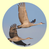 cranes stickers