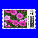 Cranesbill Geranium (Pink Flowers) Postage postage