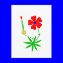 Cranesbill postcards