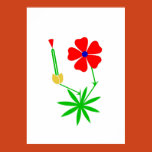 cranesbill, flowers, asbjorn lonvig, lonvig