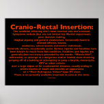 Cranio-Rectal Insertion Poster