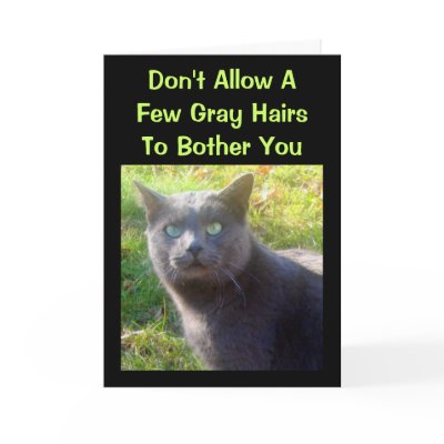 Cranky Cat Humorous Birthday Card by time2see