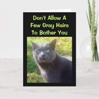 Cranky Cat Humorous Birthday Card card