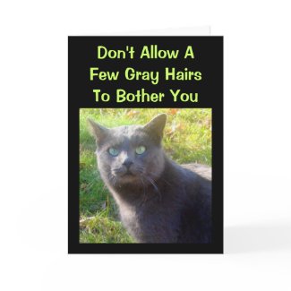 Cranky Cat Humorous Birthday Card card