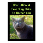 Cranky Cat Humorous Birthday Card