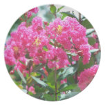 Crape Myrtle Blossoms Party Plate Crape Myrtle Blossoms Party Plate