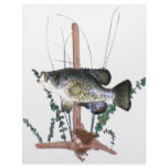 Crappie Mount Letterhead Template