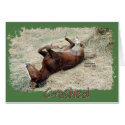 Crashed Horse cards by BowNRanch Crashed Horse cards