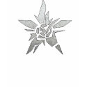 crashstar1.2fem t-shirts