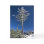 Crater Lake Sentinel Cards